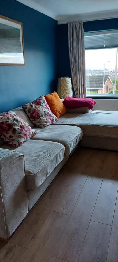 Bellevue Bungalow - Comfortable Home With Amazing Views Μπέλφαστ Εξωτερικό φωτογραφία