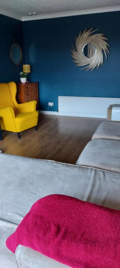 Bellevue Bungalow - Comfortable Home With Amazing Views Μπέλφαστ Εξωτερικό φωτογραφία