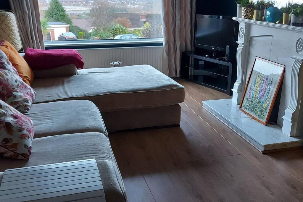 Bellevue Bungalow - Comfortable Home With Amazing Views Μπέλφαστ Εξωτερικό φωτογραφία
